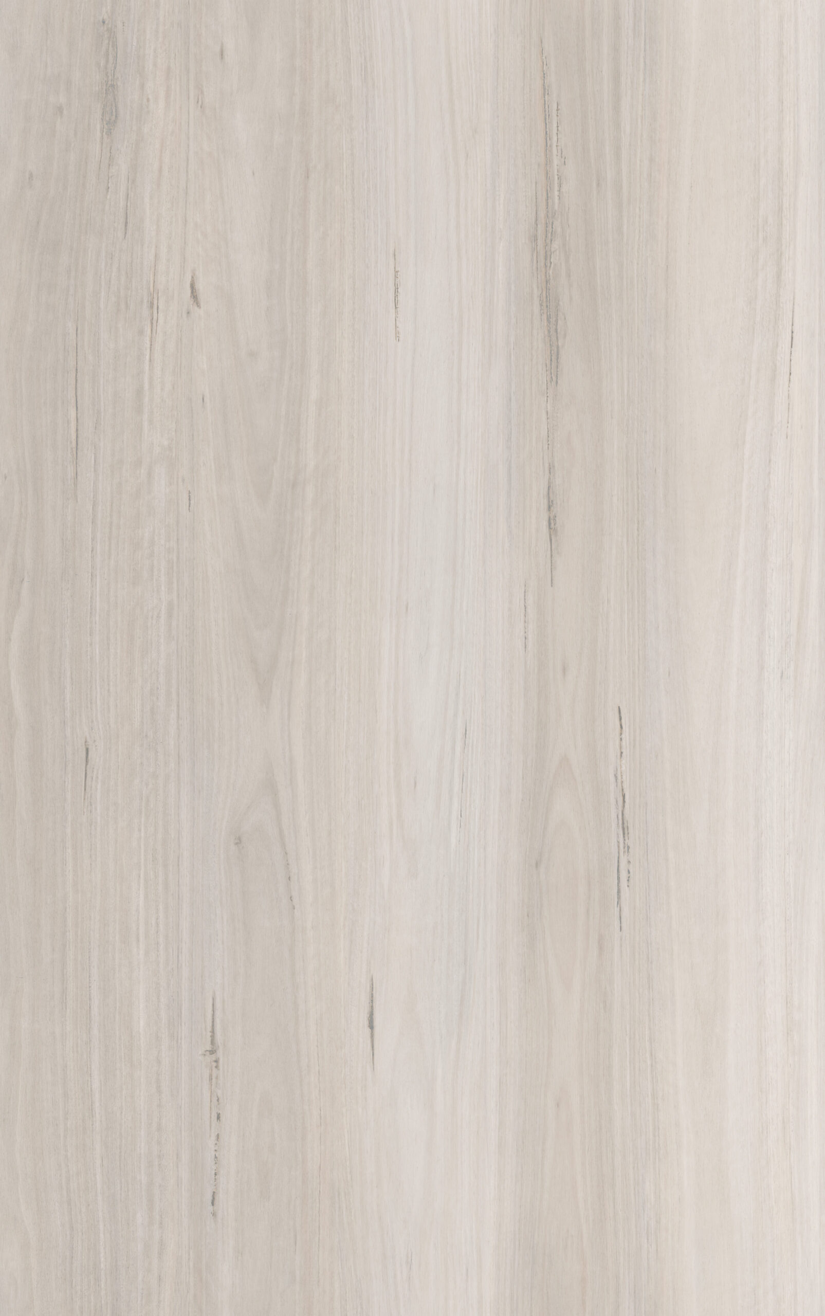 Blackbutt Ivory 105