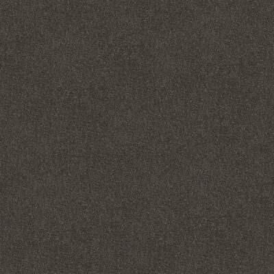 Saddle Stipple 195