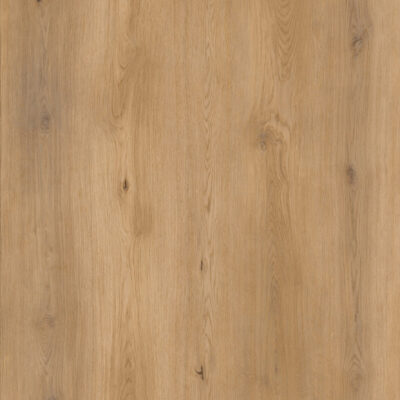 Sable Oak 300