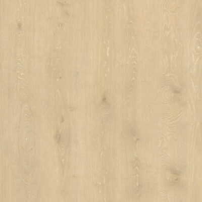 Cornsilk 500