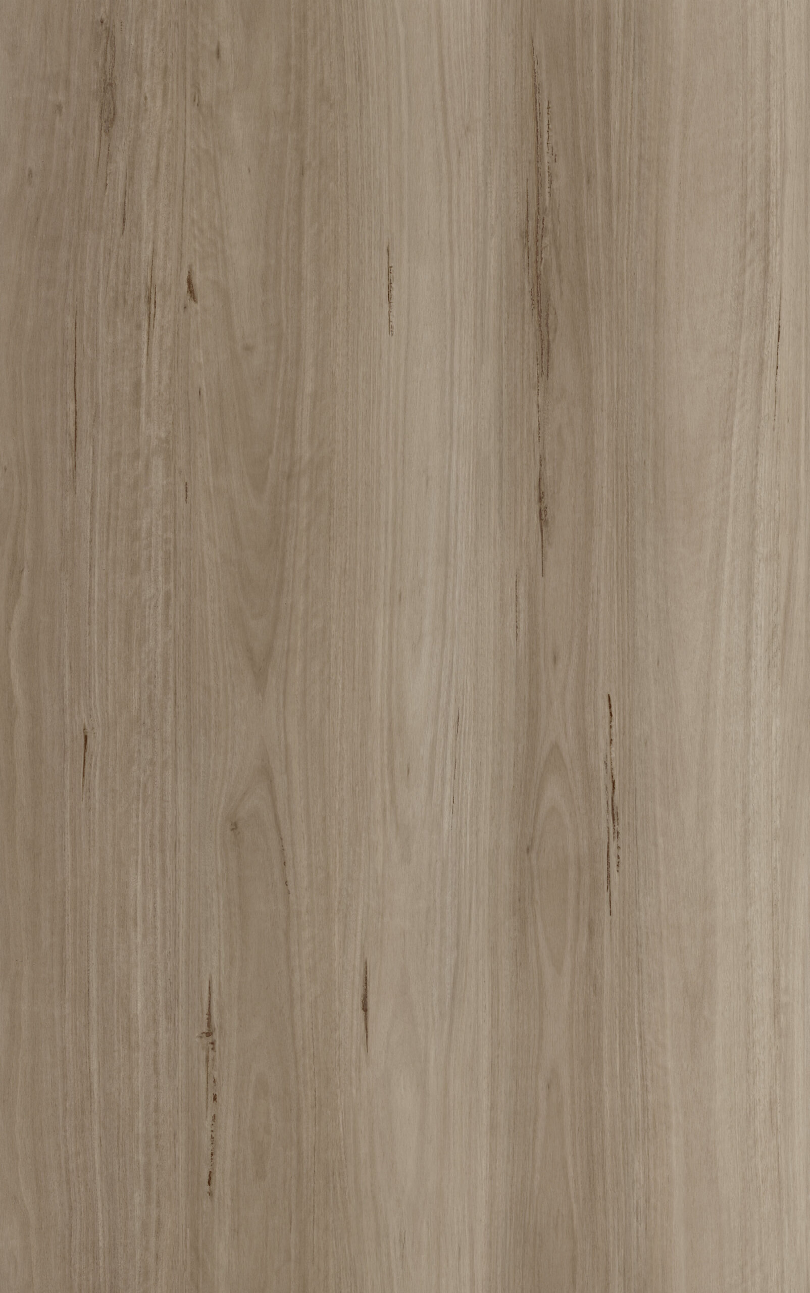 Blackbutt Limed 505