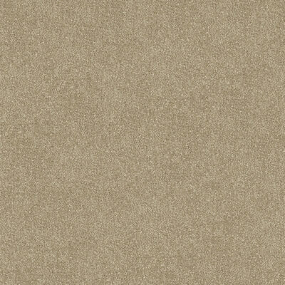 Sand 510