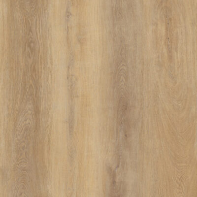 Brass Oak 520