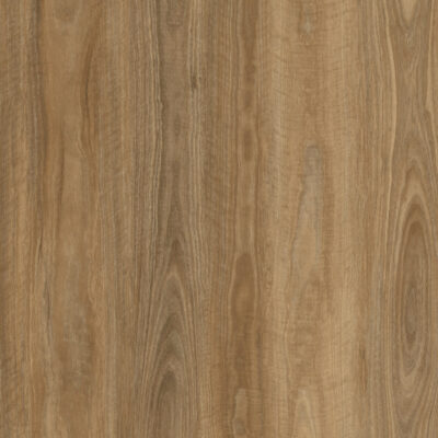 Spotted Gum Coastal 530