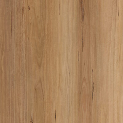 Blackbutt Elegant 535