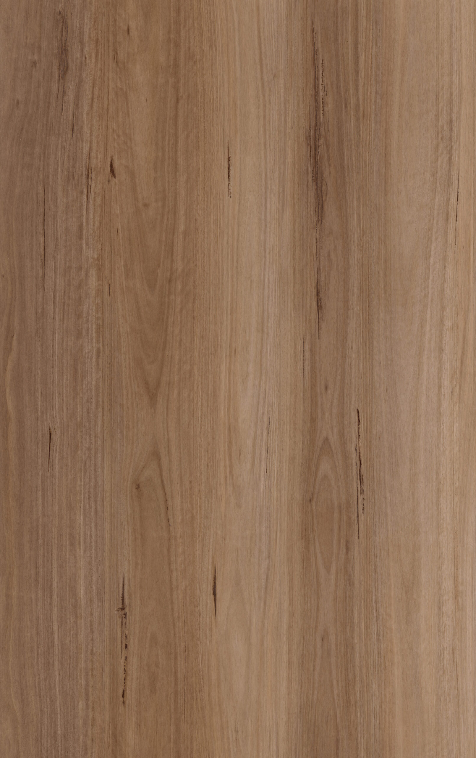 Blackbutt Classic 545