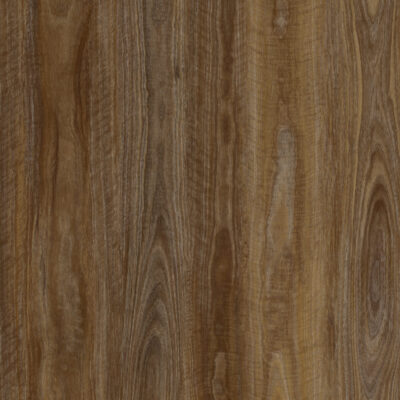 Spotted Gum Natural 555