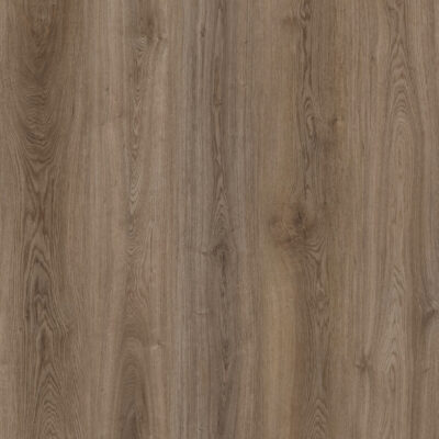 Fallow Oak 580