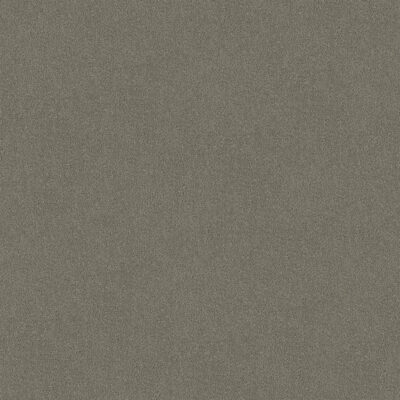 Pewter 740