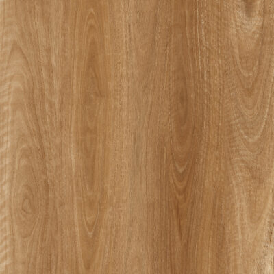 Spotted Gum 556