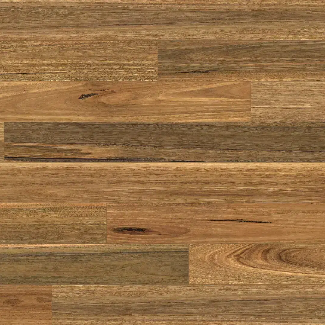Australian Native Range 18 Spotted Gum Australian Native Range 18 Spotted Gum
