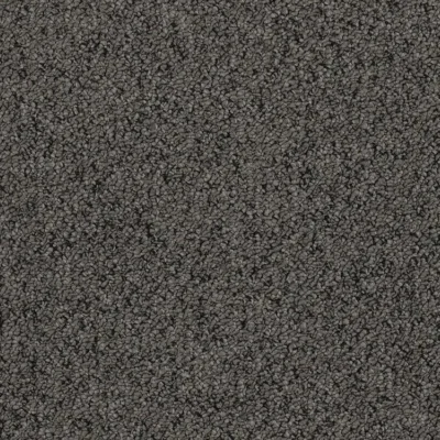 Coco 4336 Coco 4336