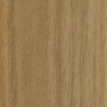 Blackbutt 545