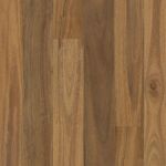 Spotted Gum 555