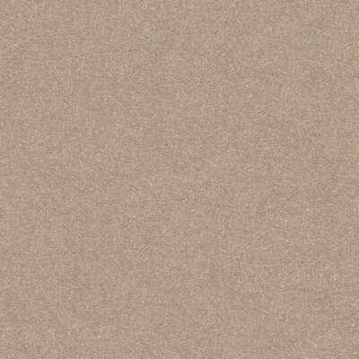 Warm Beige 550 Warm Beige 550