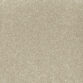 Amulet Stipple 230
