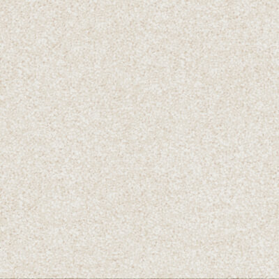 Bleached Shell 500 Bleached Shell 500