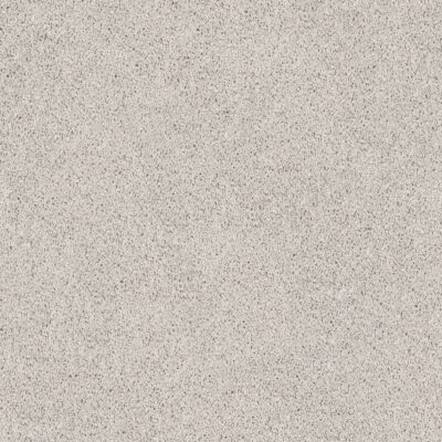 White Magnolia 500 White Magnolia 500