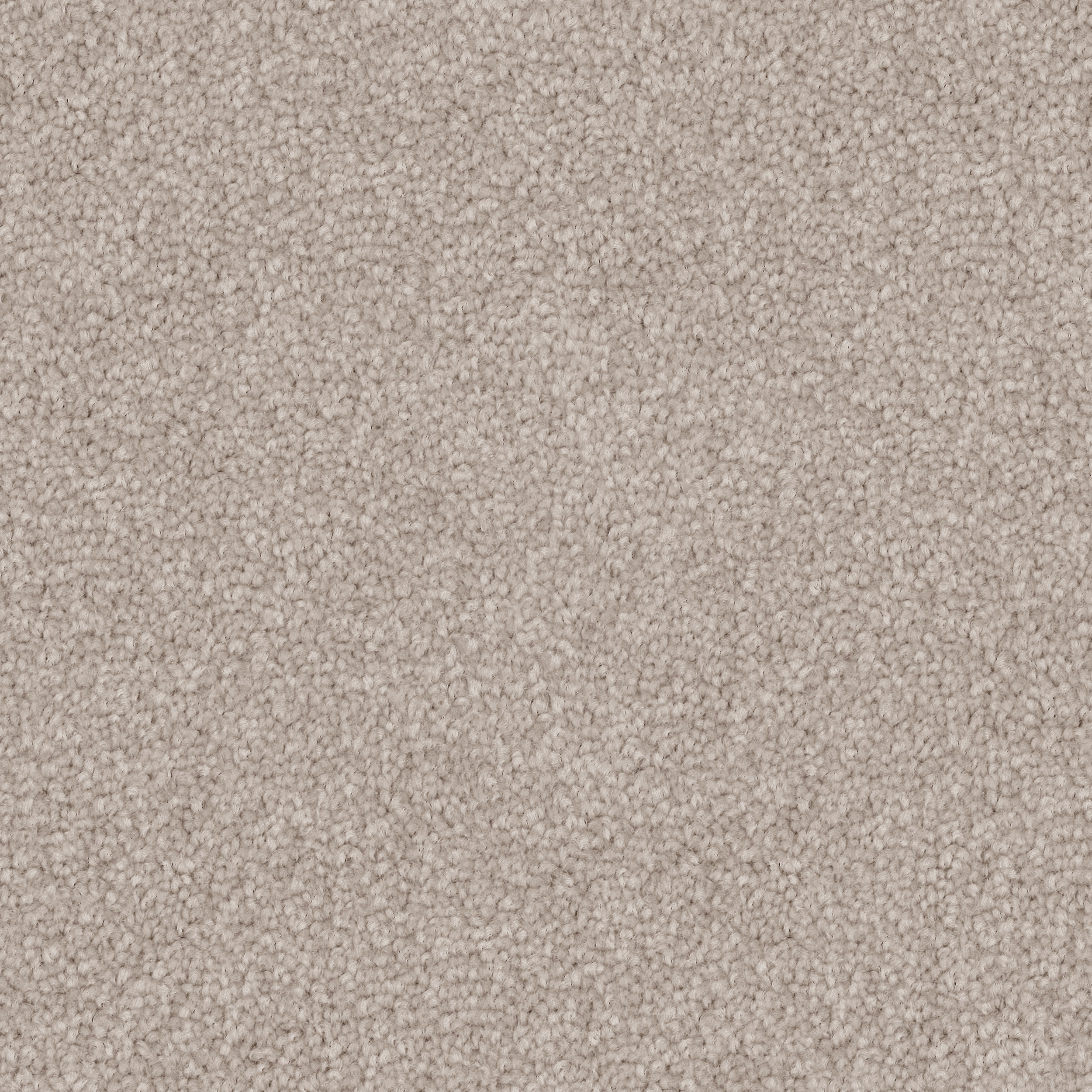 Cargo Beige 504 Cargo Beige 504
