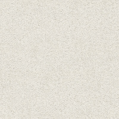 Chamois 507 Chamois 507