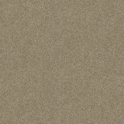 Beach Shell 510