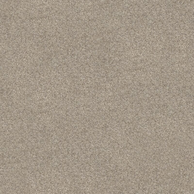 Biscotti 520 Biscotti 520