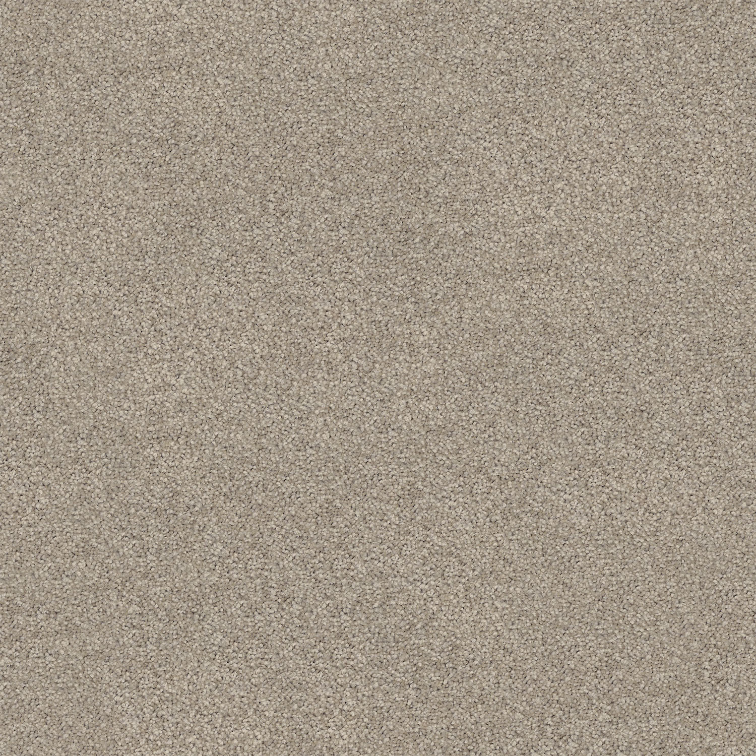 Biscotti 520 Biscotti 520