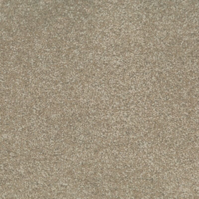Cottonseed 520
