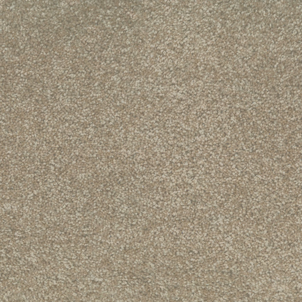 Cottonseed 520 Cottonseed 520