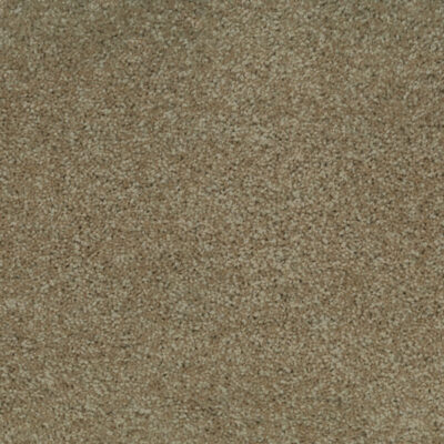Ambrosia 545 Ambrosia 545