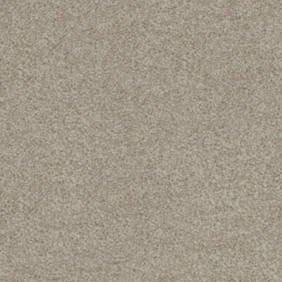 Tapestry Beige 546
