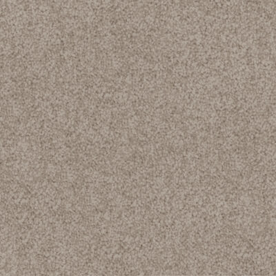 Papyrus 555