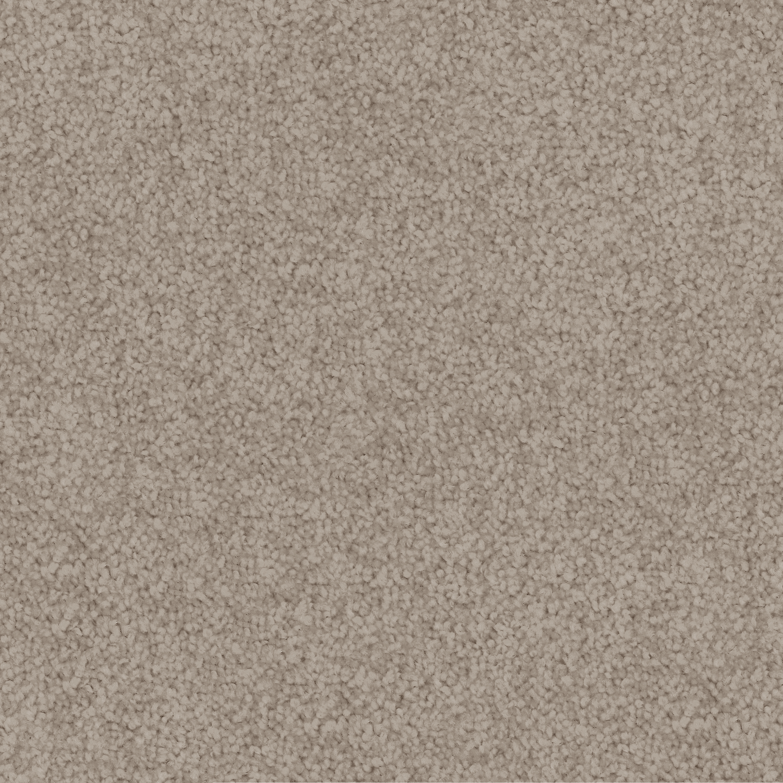 Papyrus 555 Papyrus 555
