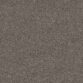Light Brown 5700 Light Brown 5700