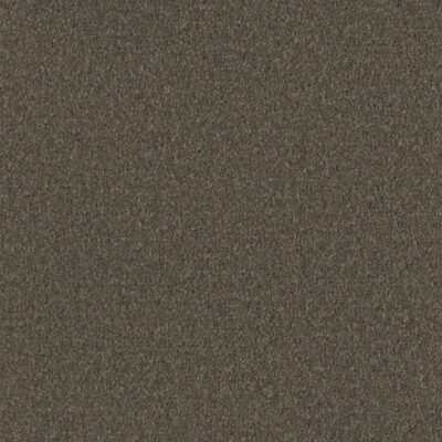 Ash Brown 576