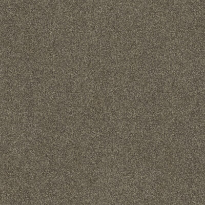 Tumbleweed 585