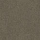 Tumbleweed 585 Tumbleweed 585