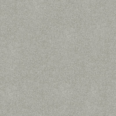 Silver Berry 730