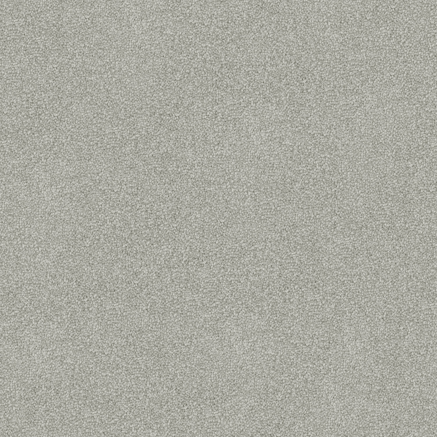 Silver Berry 730 Silver Berry 730