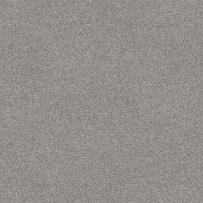 Silver 732 Silver 732