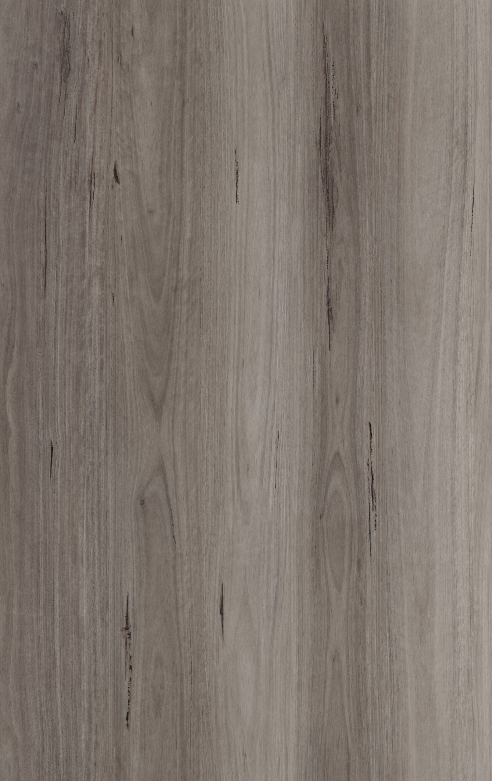 Blackbutt Stormy 735