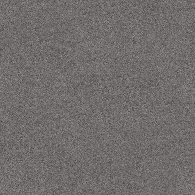 Cool Grey 740