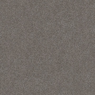 Mist 740