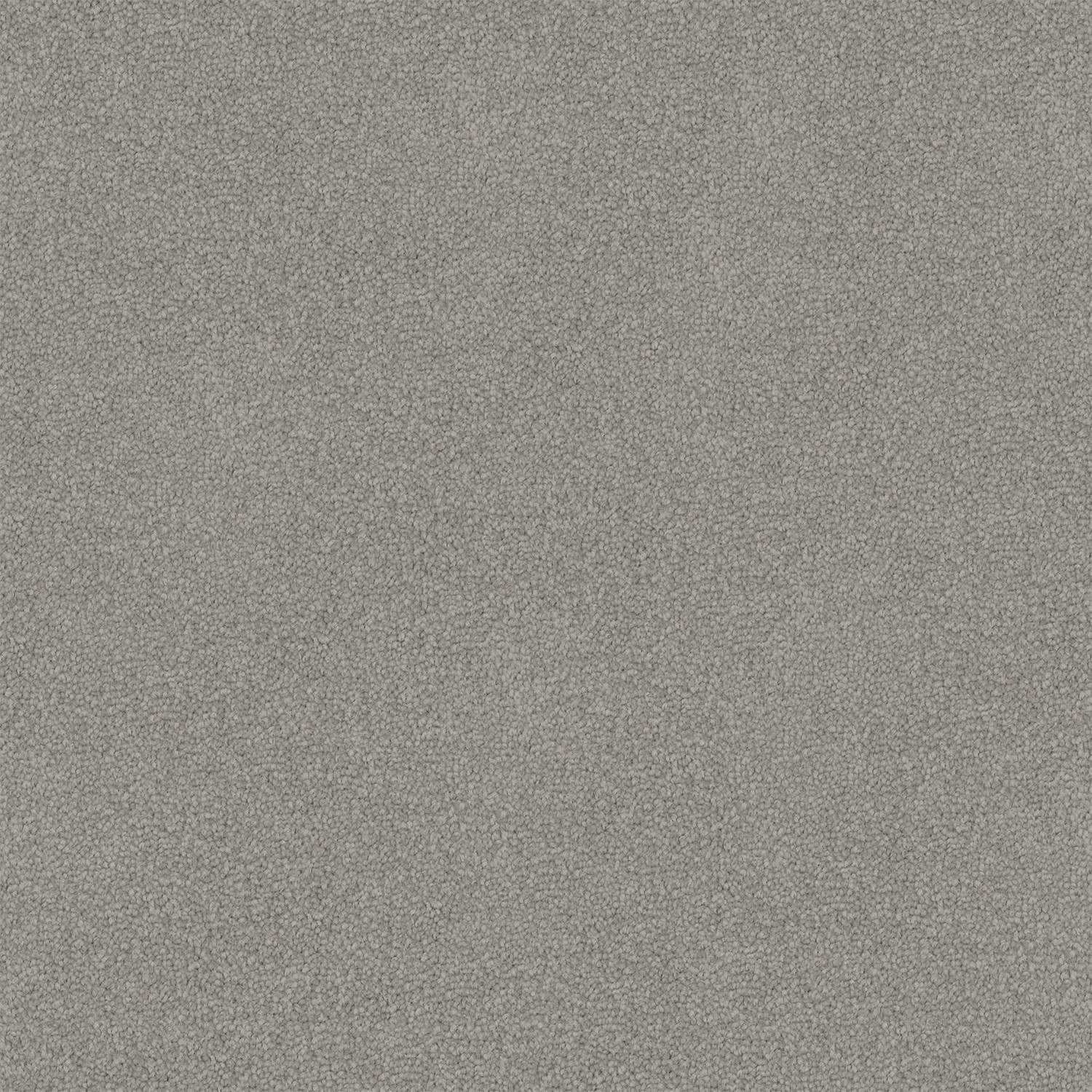 Grey Concrete 742 Grey Concrete 742