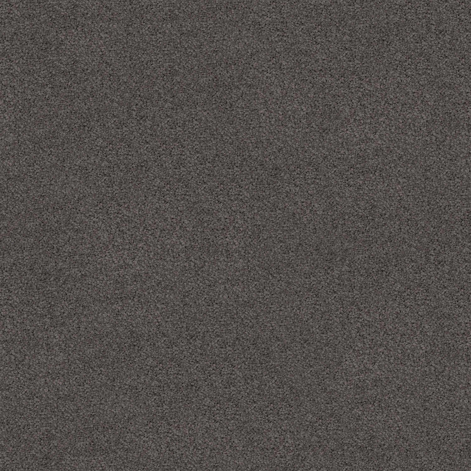 Ash Grey 755 Ash Grey 755