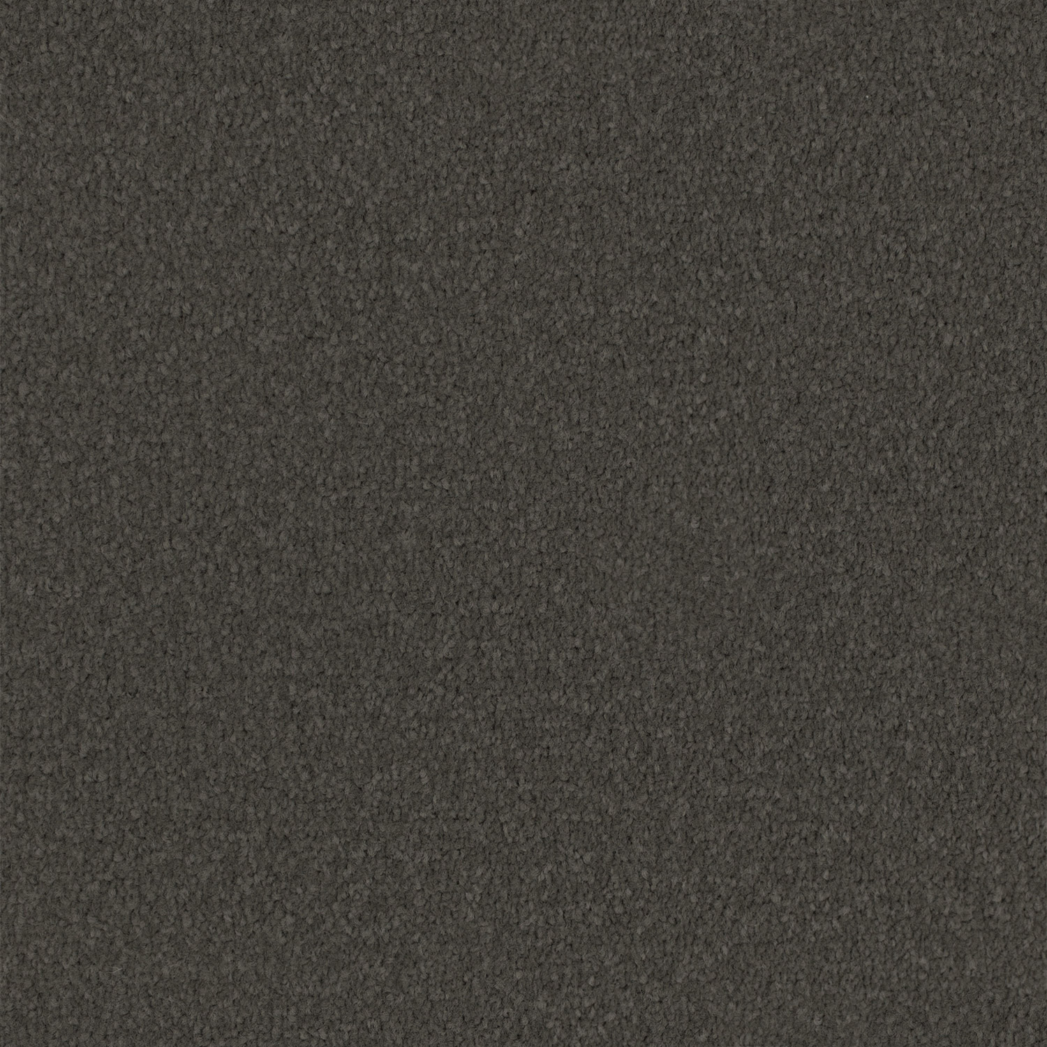 Winter Grey 760 Winter Grey 760