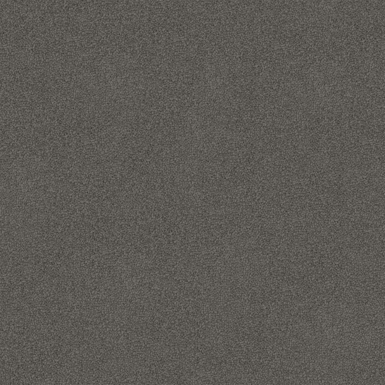 Night Horizon 770 Night Horizon 770