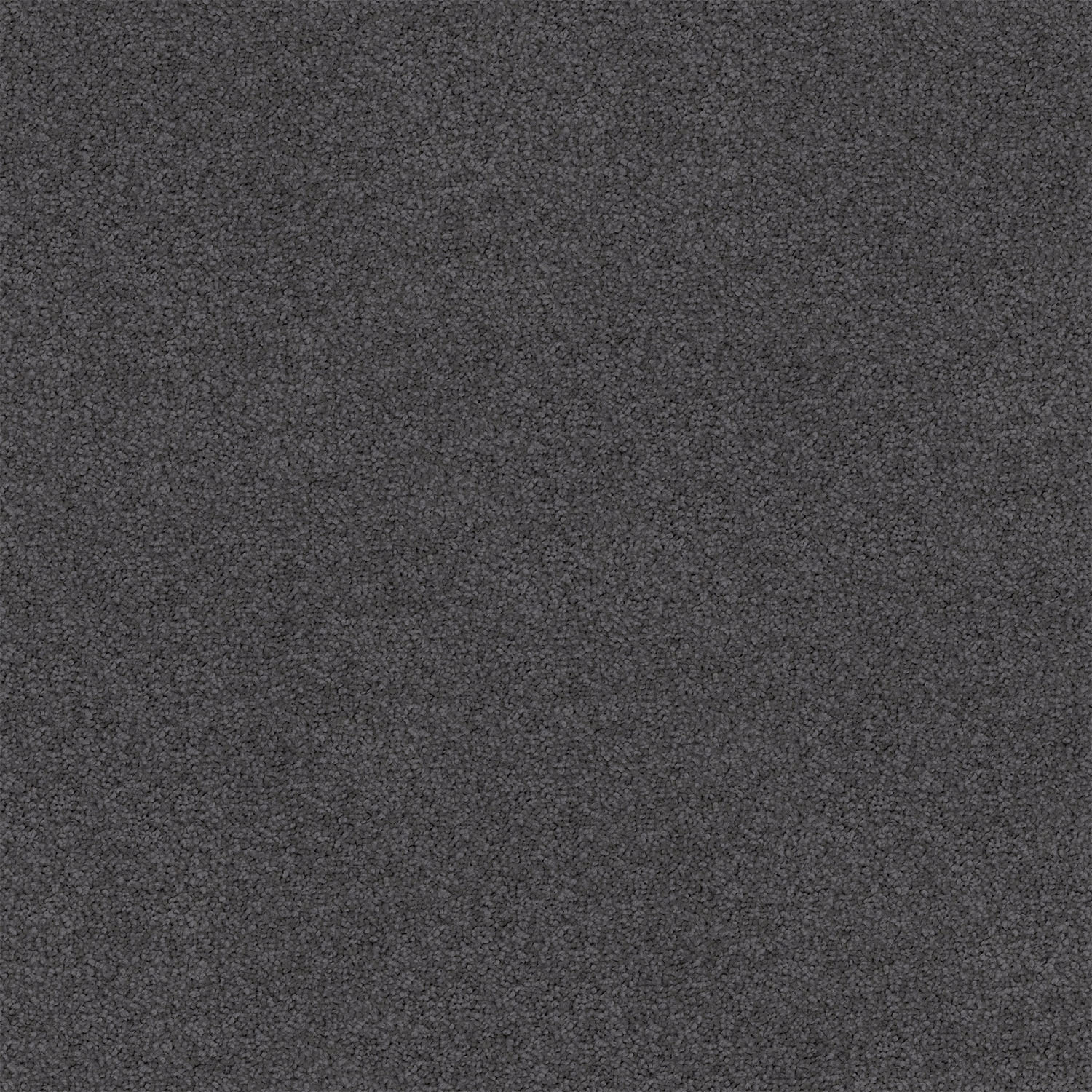 Dark Slate 775 Dark Slate 775