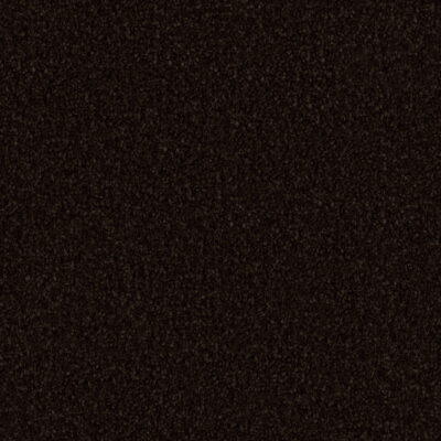 Coal Black 795