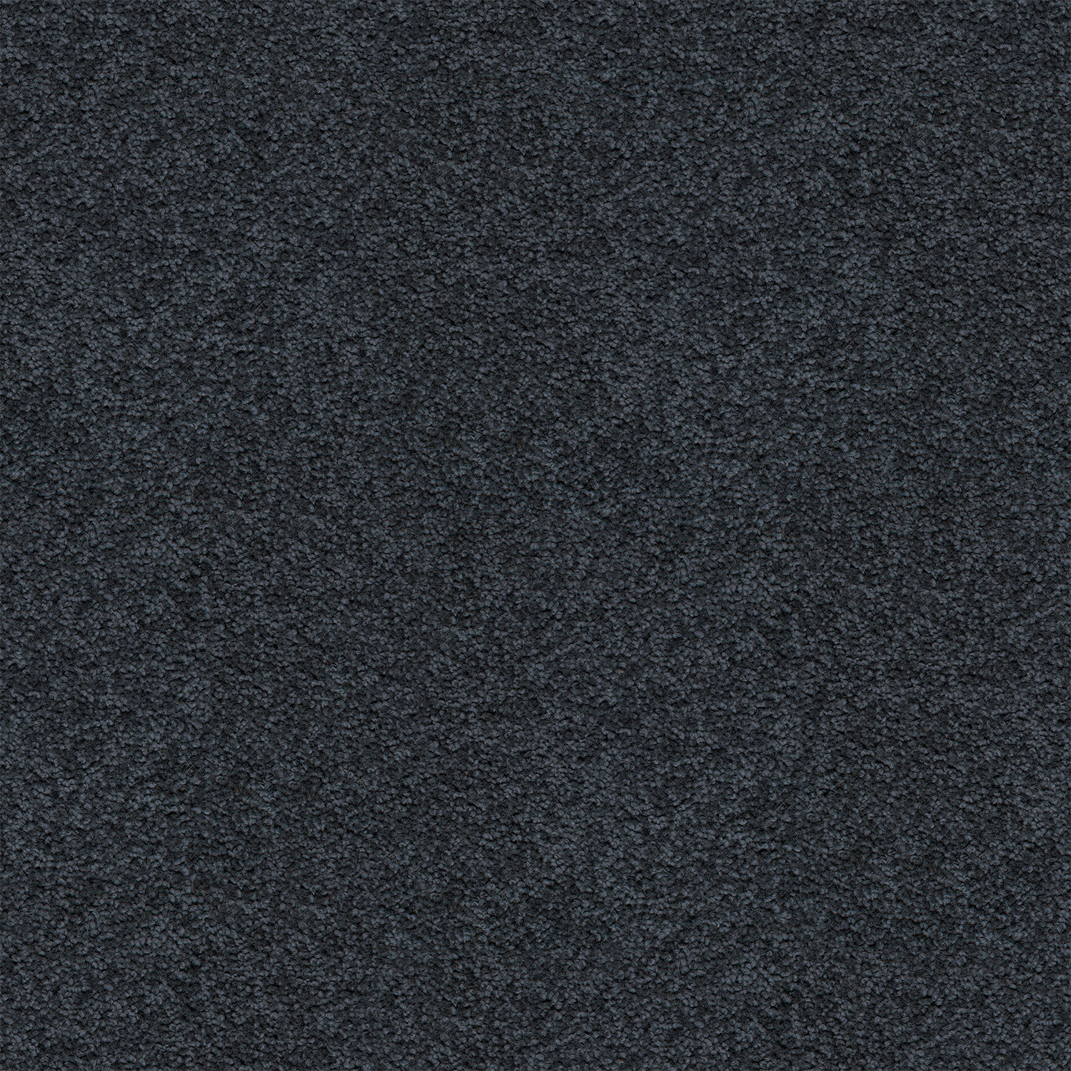 Midnight Blue 890 Midnight Blue 890